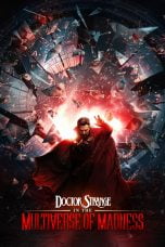 Doctor Strange in the Multiverse of Madness (2022)